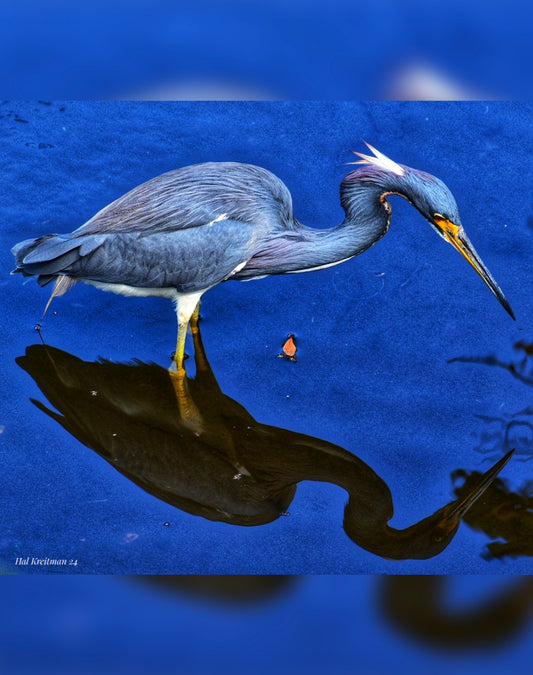 Nature's art in motion.