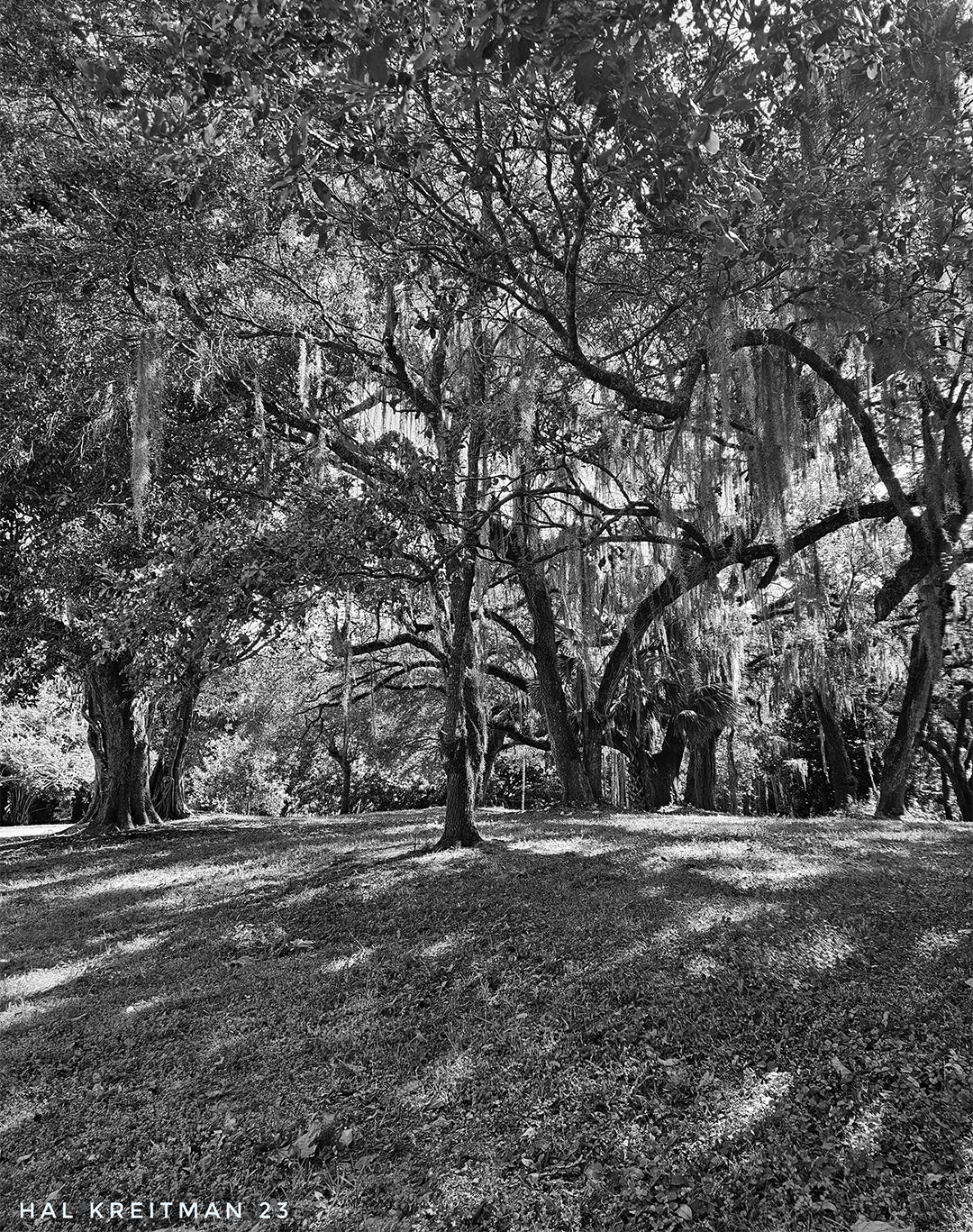 Shadows and Stone