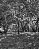 Shadows and Stone