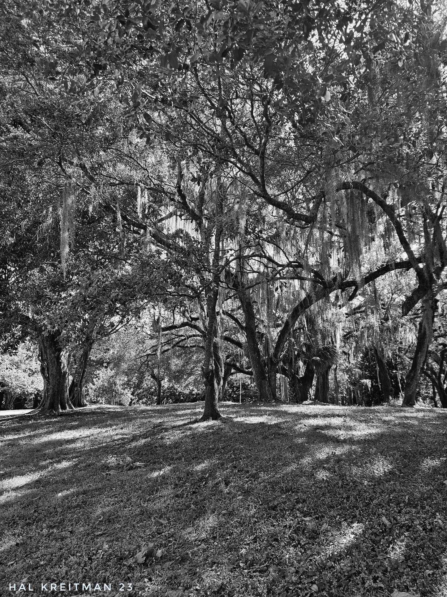 Shadows and Stone