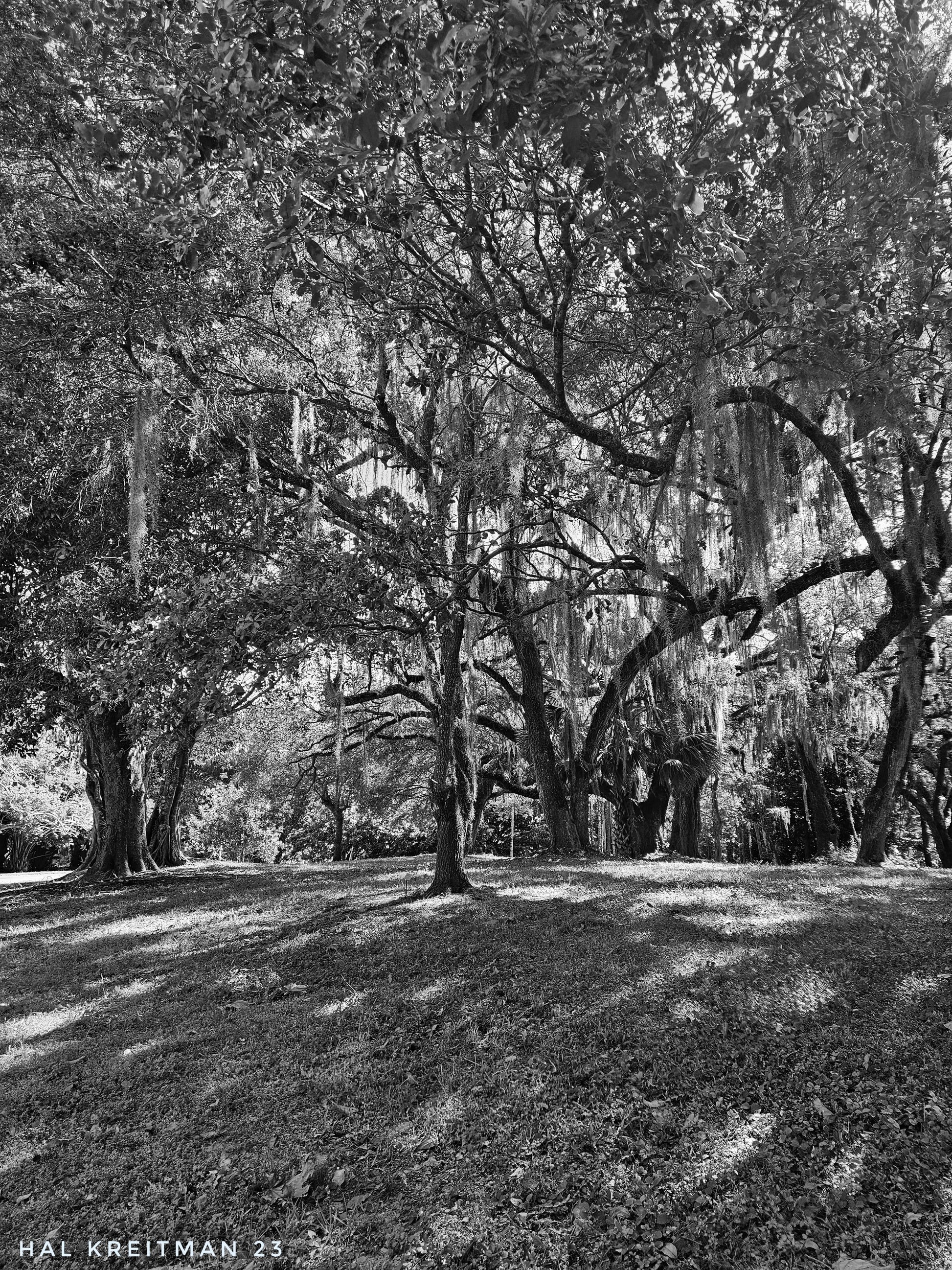 Shadows and Stone